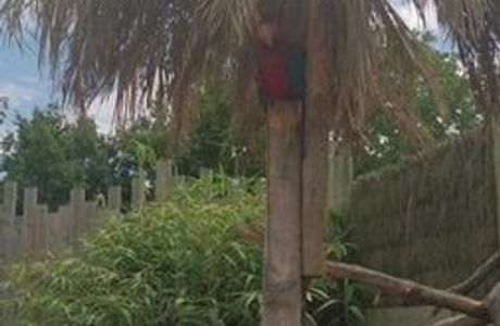 Zooparc de Cheptainville