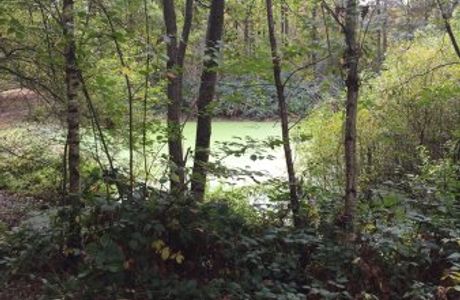 Le Bois de Verrières
