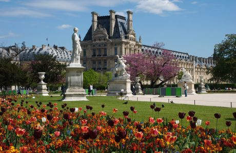Jardin des Tuileries