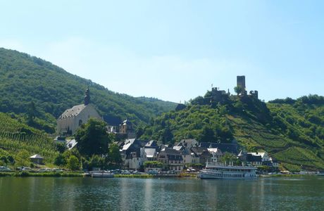 Metternich Castle