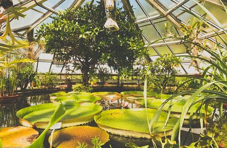 Botanischer Garten