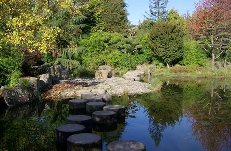 Jardin Ile de Versailles