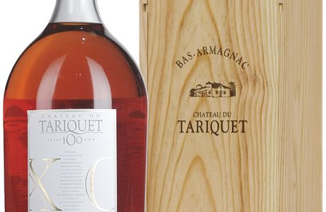 Chateau des Comtes d'Armagnac