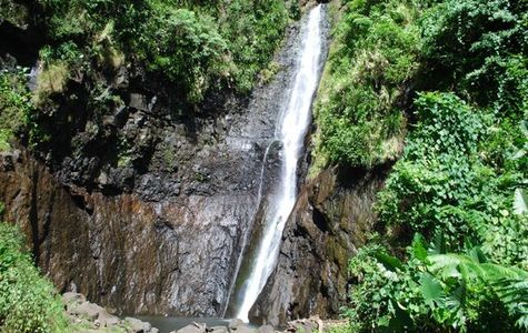 Fautaua Waterfall 1