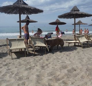 Pascià Glam Beach