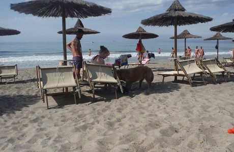 Pascià Glam Beach