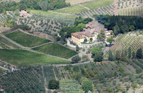 Tenuta del Palagio