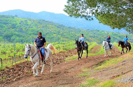 Sicily Horse Tours
