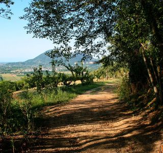 Percorso Naturalistico 1 - Sentieri dei Colli di Onigo