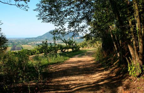 Percorso Naturalistico 1 - Sentieri dei Colli di Onigo