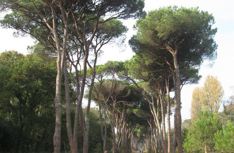 Parco Regionale Migliarino San Rossore Massaciuccoli