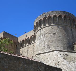 Medici Fortress