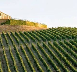 Azienda Agricola Castelvecchio