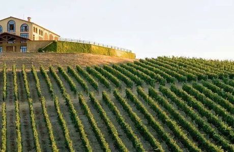 Azienda Agricola Castelvecchio