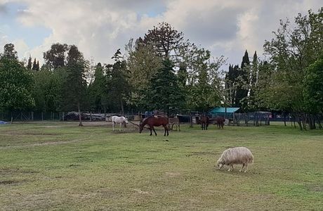 Fattoria della Pace IPPOASI Onlus