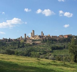Guardastelle Vineyard