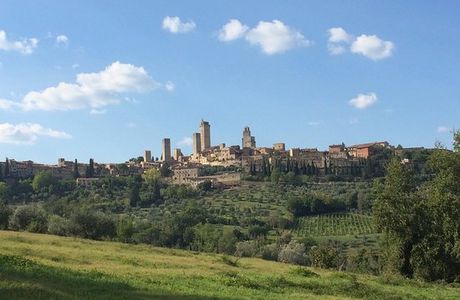Guardastelle Vineyard