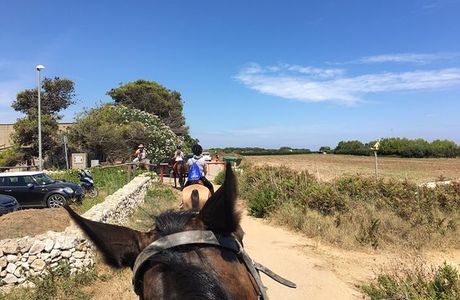 Circolo Ippico Malepezza