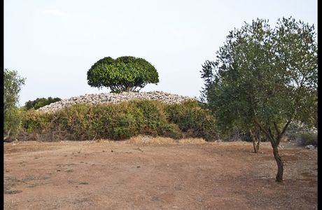 Specchia dei Mori