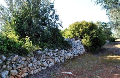 Limitone dei Greci