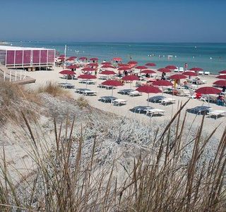 Ultima Spiaggia delle Cesine