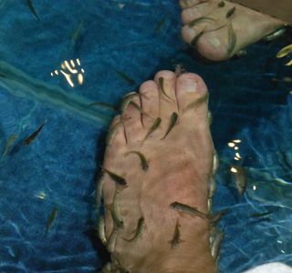 Garrarufa Fish Therapy