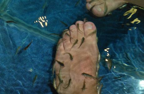 Garrarufa Fish Therapy