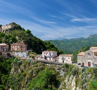 Pineta di Savoca