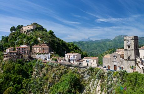 Pineta di Savoca