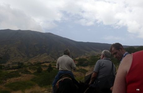 Etna Donkey Trekking