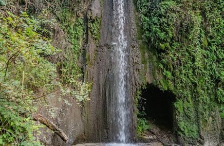 Mulino