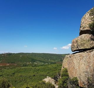 Foresta Demaniale dei Sette Fratelli