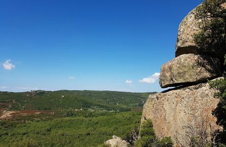 Foresta Demaniale dei Sette Fratelli