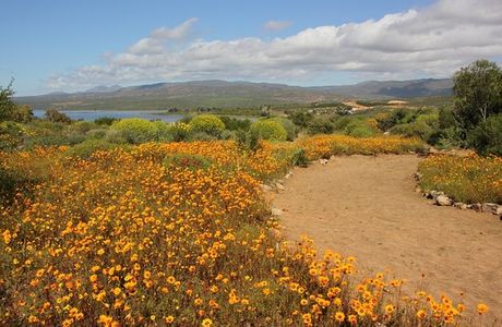 Ramskop Nature Reserve