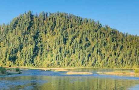 Biya River
