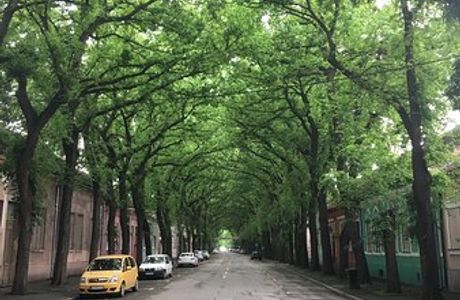 Generala Drapsina Street