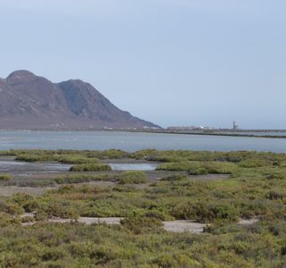 Las Salinas