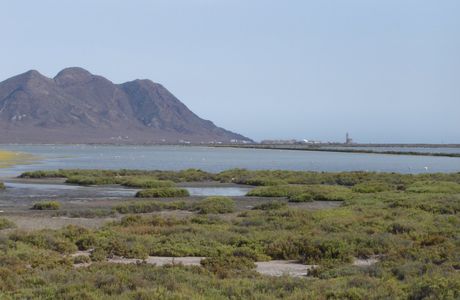 Las Salinas