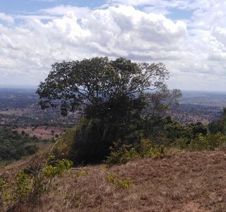 Shimba Hills National Reserve