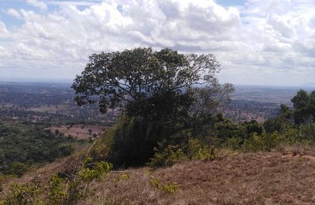 Shimba Hills National Reserve