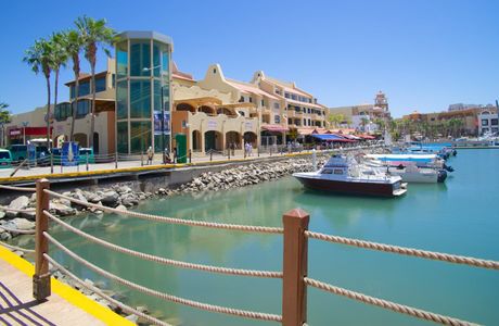 Marina Cabo San Lucas