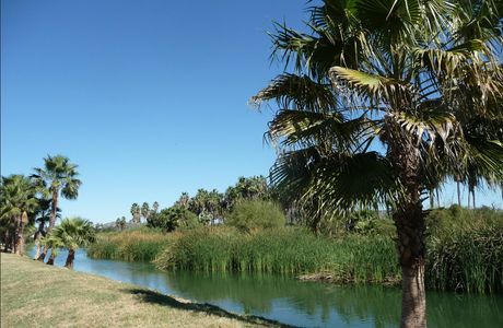 San Jose's Estuary and Bird Sanctuary