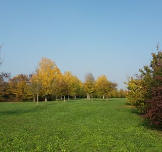 Parco San Giuliano