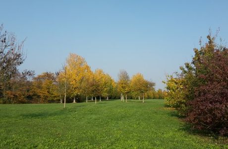 Parco San Giuliano