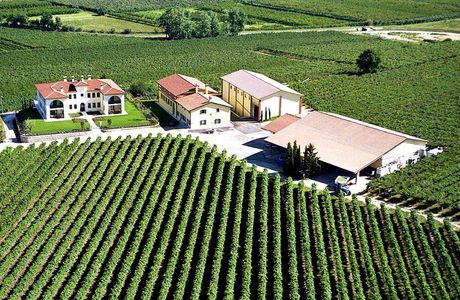 Azienda Agricola Monte del Fra