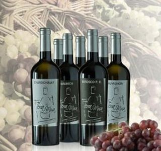 Cantina Terra Musa