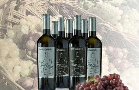 Cantina Terra Musa