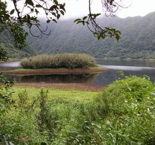 Ferme Equestre du Grand Etang