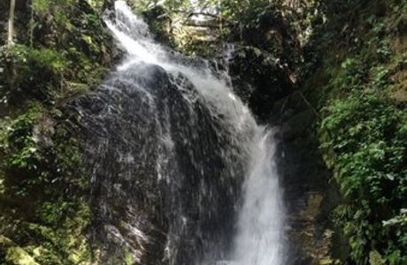 Erin Ijesha Waterfall (Olumirin Waterfalls)
