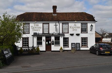 The Tickled Trout Bar